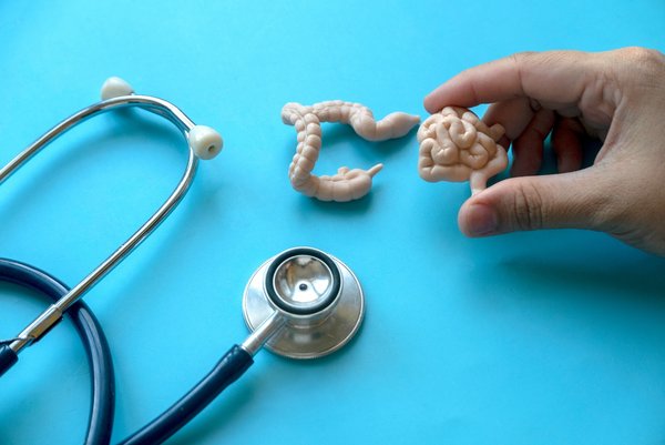 Changements intestinaux et microbiote : clés de l'obésité